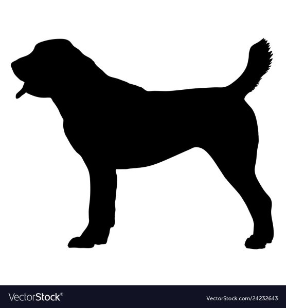 Собака алабай вектор