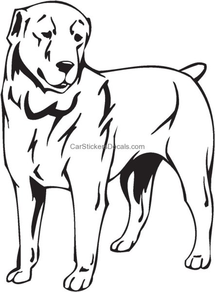 Раскраска собака алабай