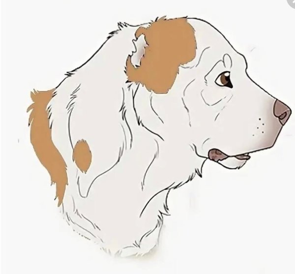 Алабай контур