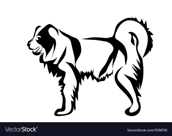 Силуэт кавказской овчарки