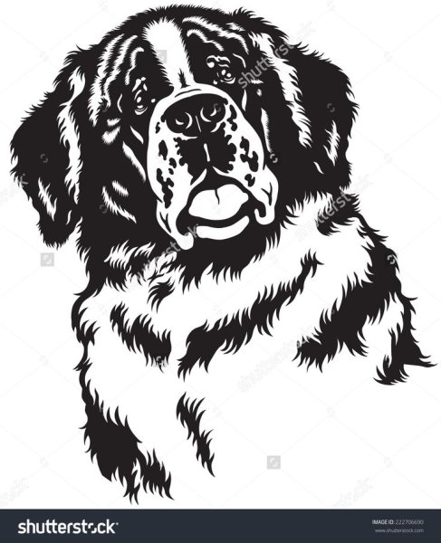 Кавказская овчарка вектор