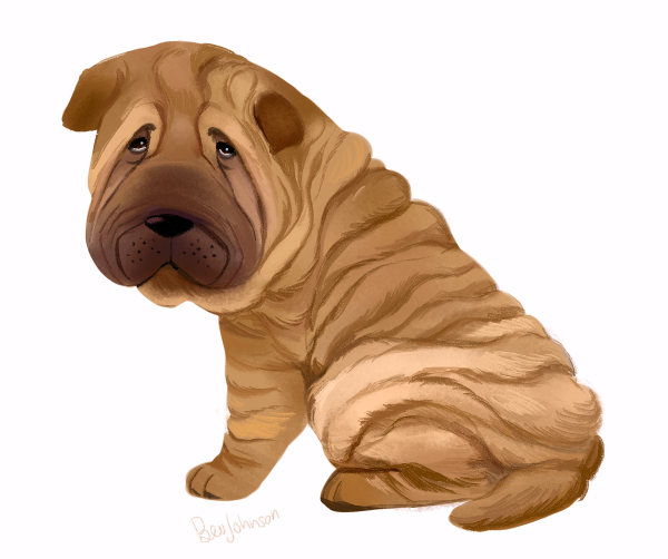 Шарпей мультяшный