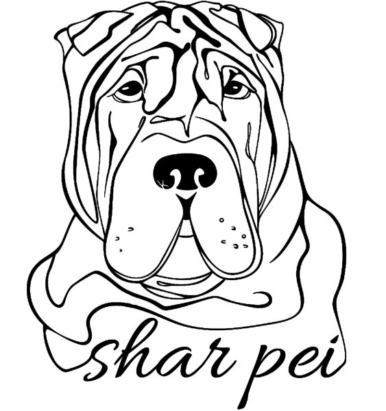 Шарпей собака в векторе