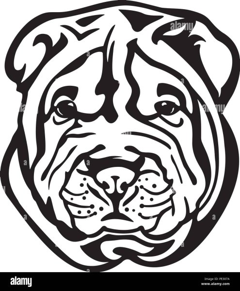 Шарпей трафарет