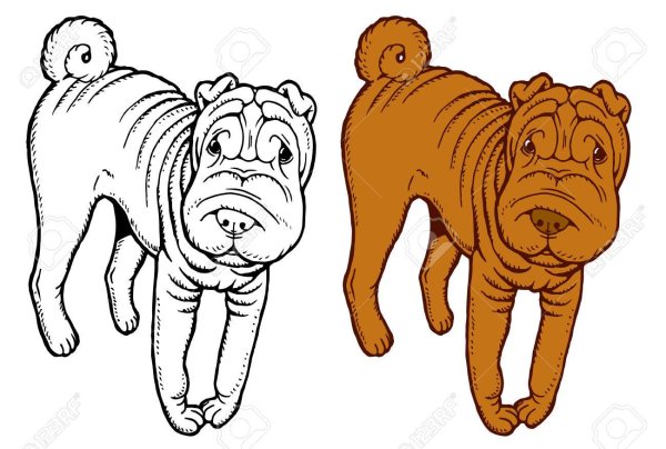 Шарпей вектор черно белый