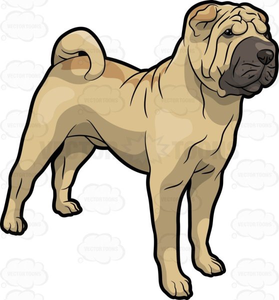 Логотип шарпей