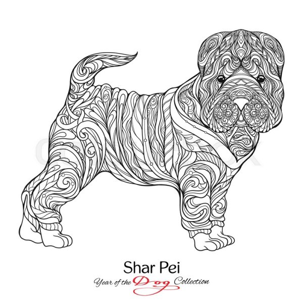 Раскраска шарпей