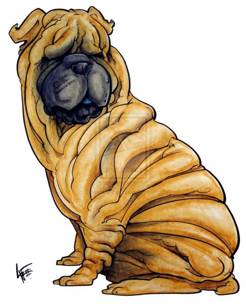 Шарпей эскиз