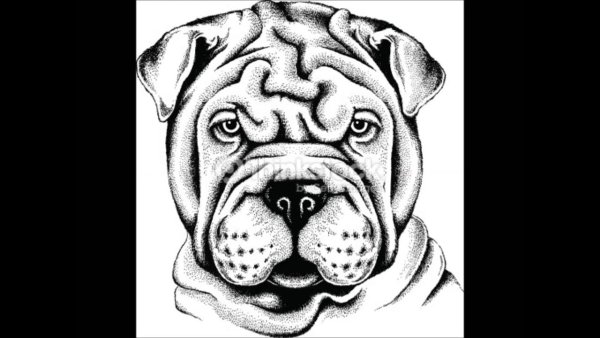 Тату шарпей эскиз