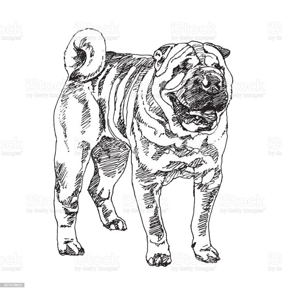 Вырезанка шарпей