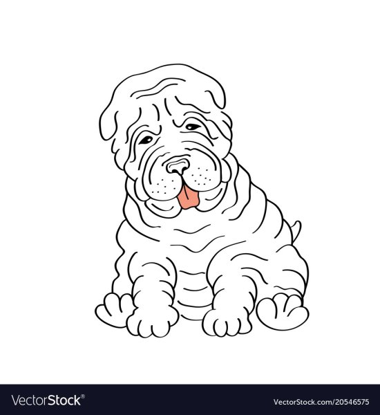 Раскраска шарпей