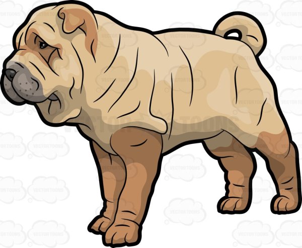 Шарпей вектор