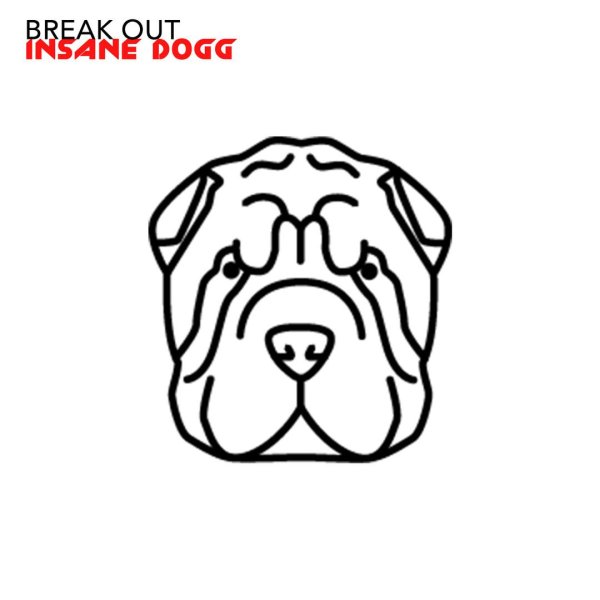 Рисунки морды шарпея