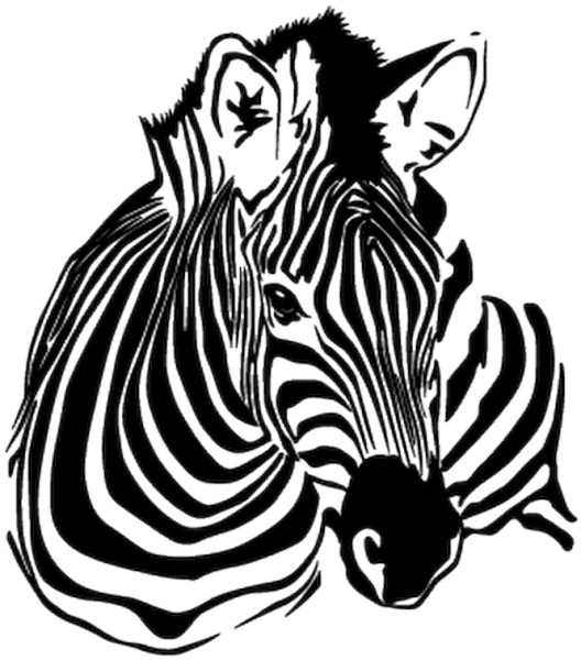 Зебра черно белая