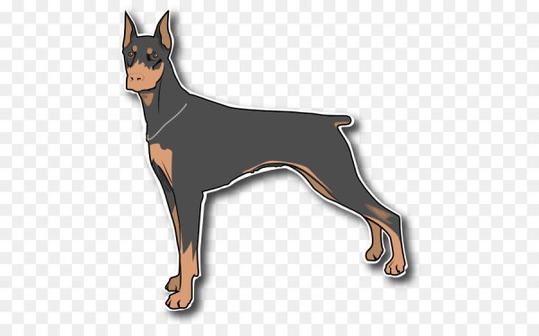 Немецкий пинчер арт