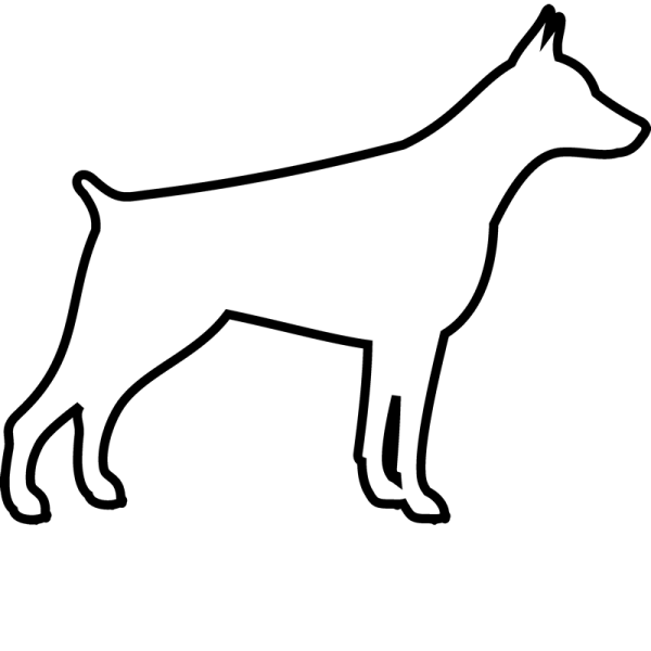 Доберман контур