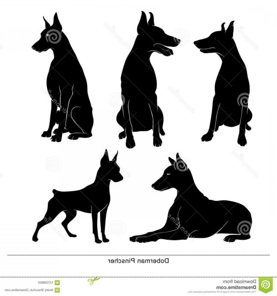 Цвергпинчер силуэт