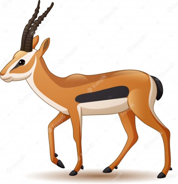 Джейран вектор