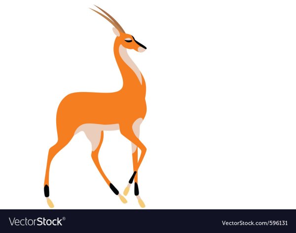 Antelope вектор