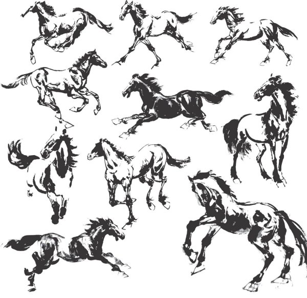 Векторный тигр