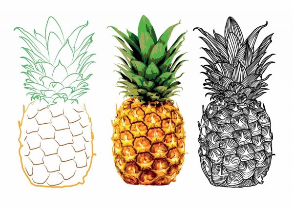 Ананас рисунок