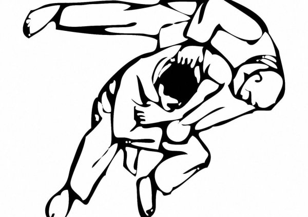 Дзюдо вектор