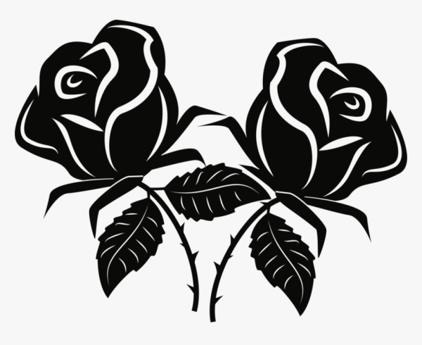 Роза вектор