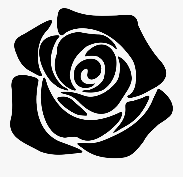 Роза очертание