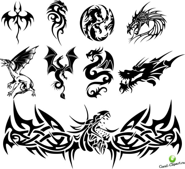 Тату дракон