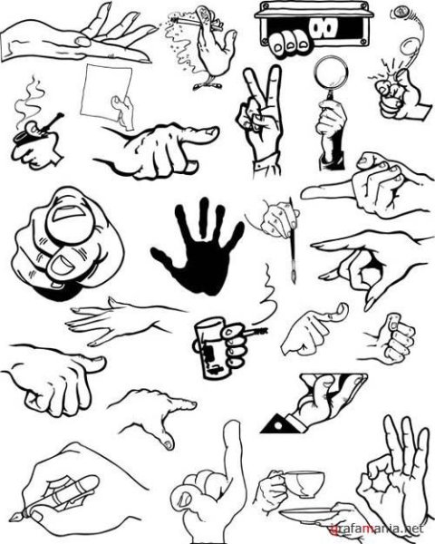 Кисть руки вектор