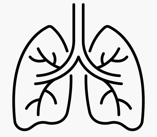 Легкие вектор