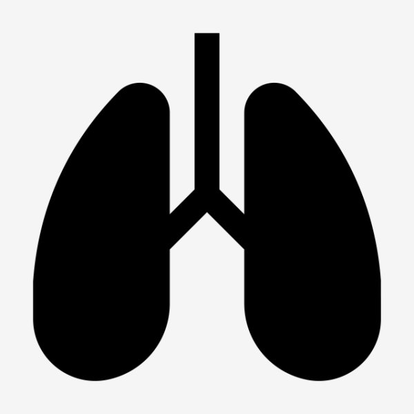 Легкие иконка