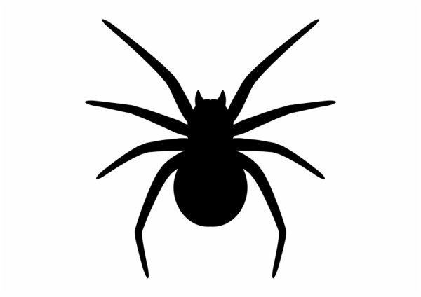 Паучок силуэт