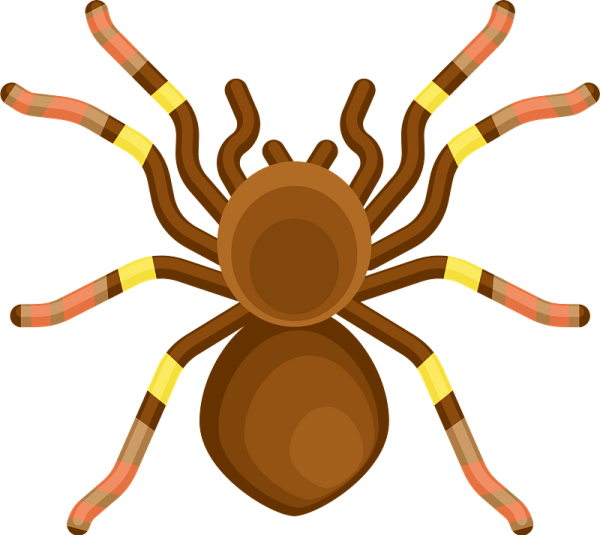 Векторный паучок