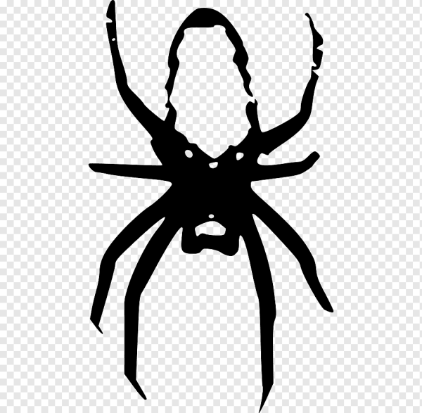 Силуэт паука для тату