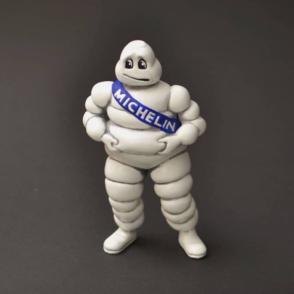 Мишлен шины Маскот