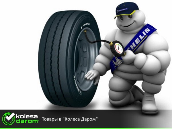 Мишлен Омнибиб