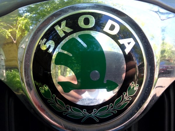Шкода лого 2016