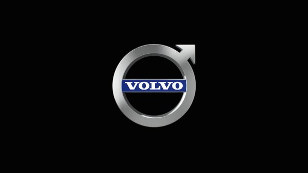 31383031 Эмблема решетки радиатора Volvo