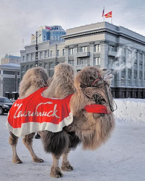 Эскиз эмблемы Челябинска