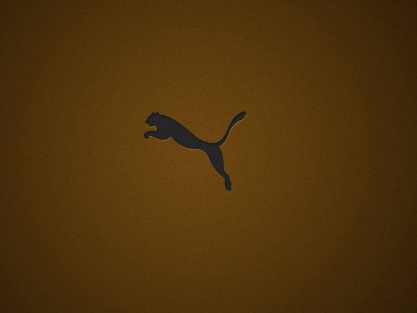 Логотип Puma на пуховике