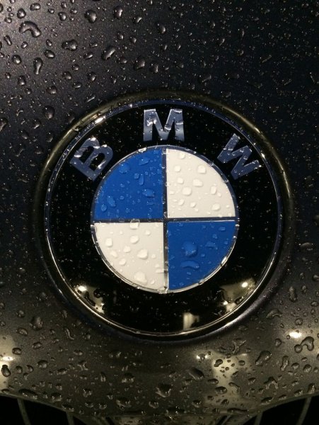 BMW logo 2000