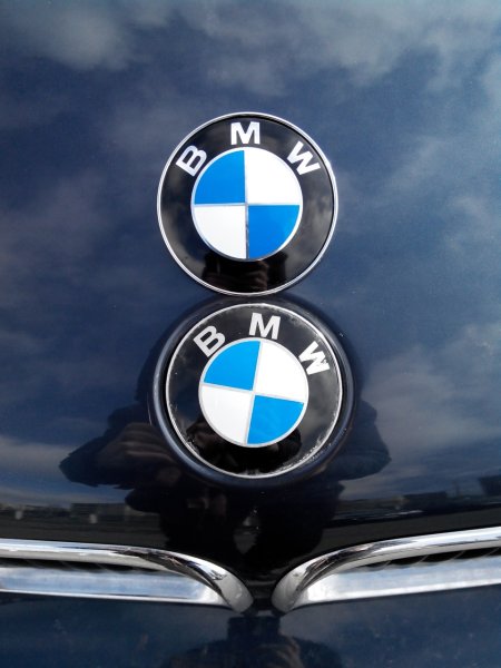 BMW logo 750