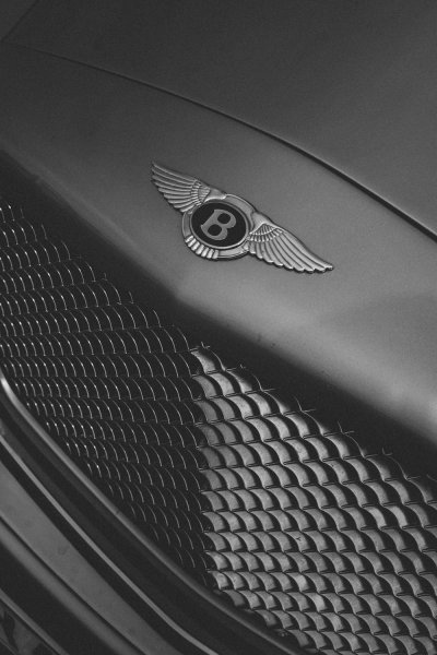 Фирменный знак Бентли