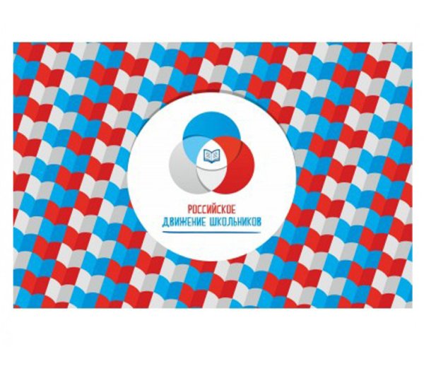 Флажок РДШ