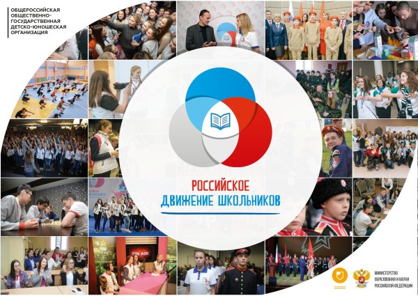 Российское движение школьнмик