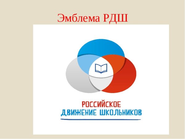 Символика РДШ