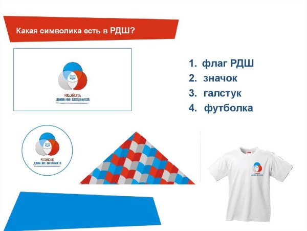 РДШ логотип