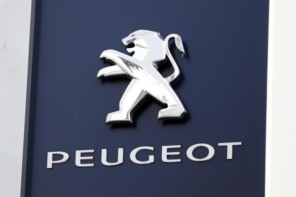 Peugeot Citroen марки