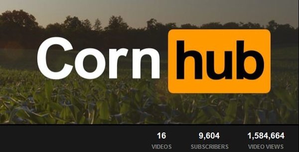 Цвета Порнхаб